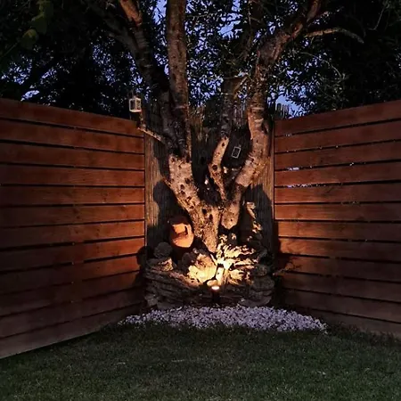 Magic Perla Гоувия